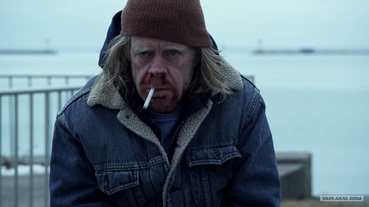 Фото Яндекс Картинки. Старина Фрэнк.