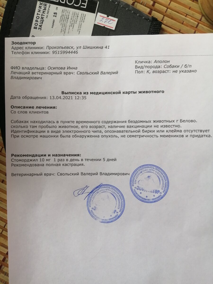 Аполлон 