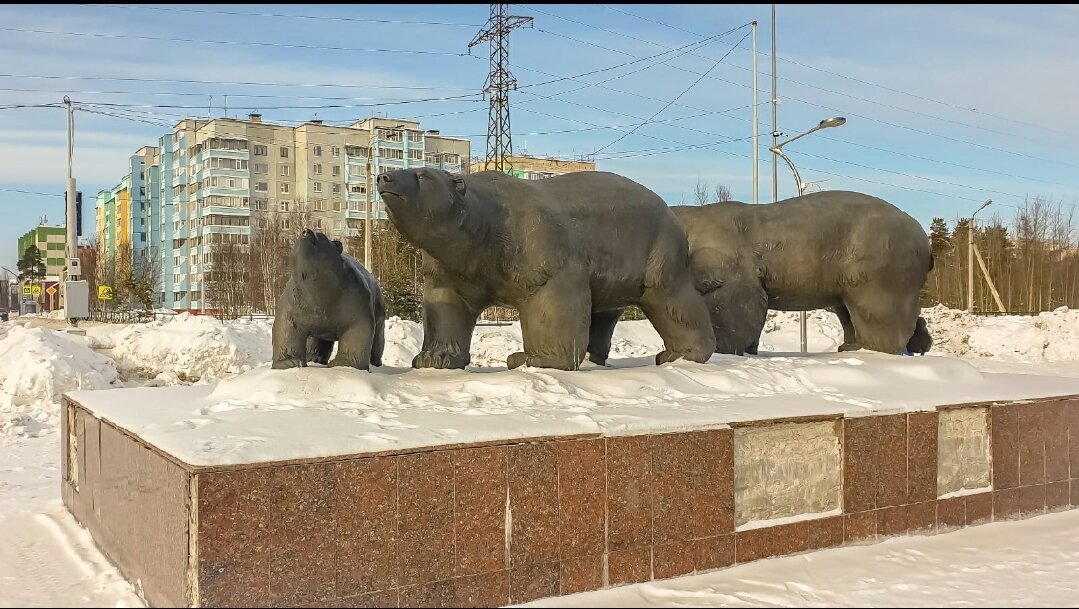 Белые медведи