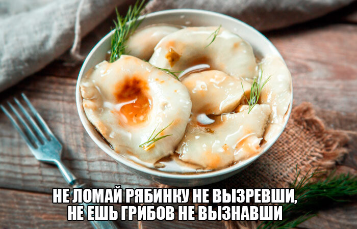 Не ешь грибов не вызнавши