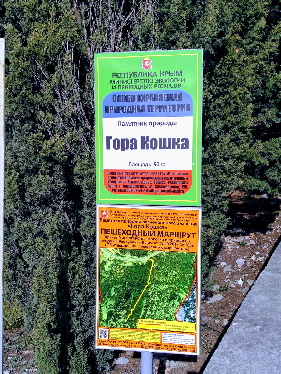 Фото из личного архива автора.