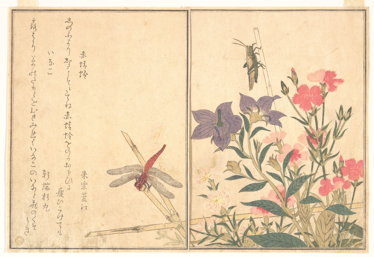 Китагава Утамаро книга насекомых