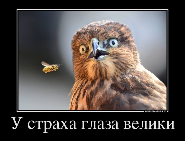 livepsiholog.wordpress.com
