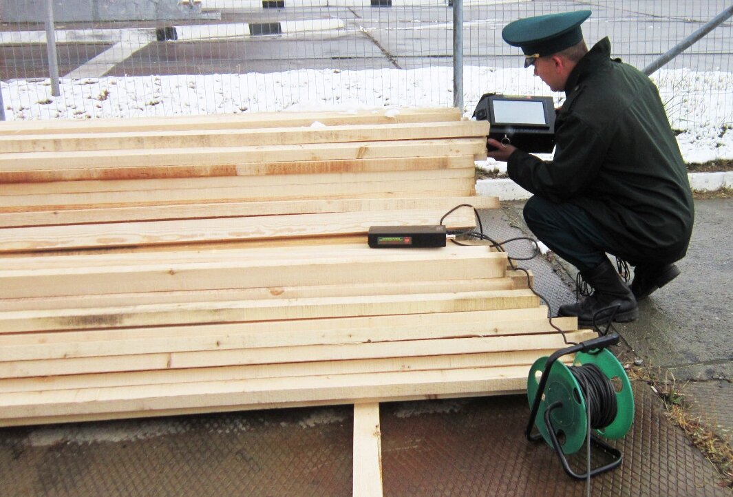 dvtu.customs.gov.ru В России создадут госкорпорацию по экспорту леса  