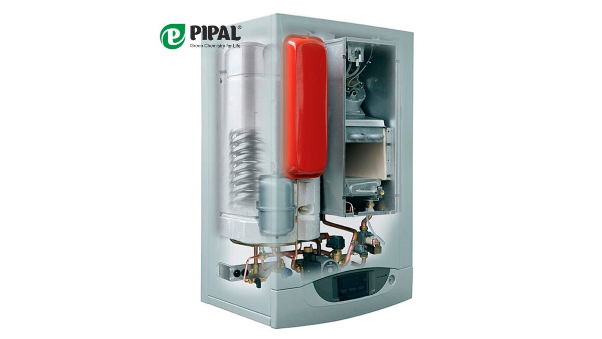 #мойвыборpipal