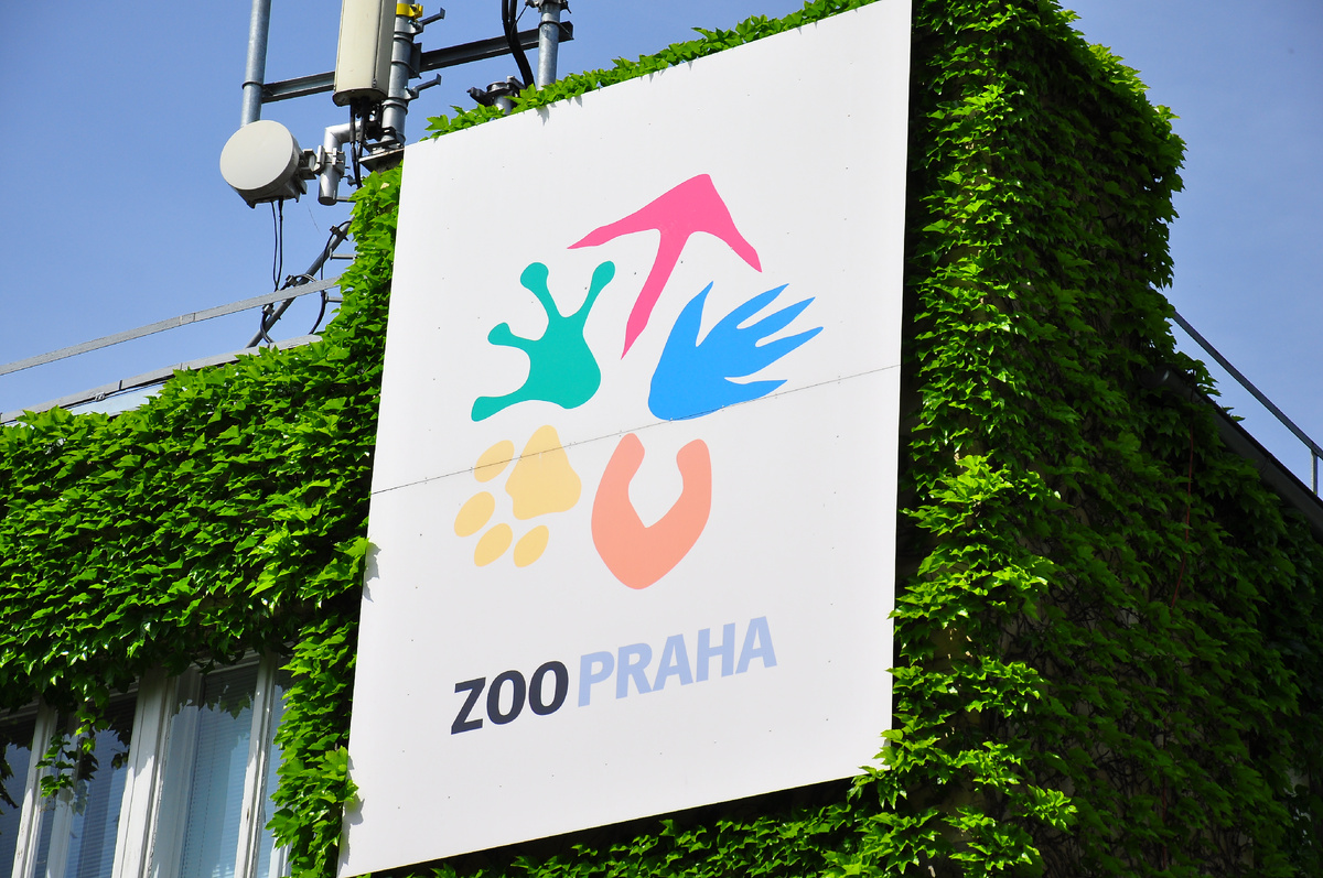 Фотография автора статьи, май 2015 года