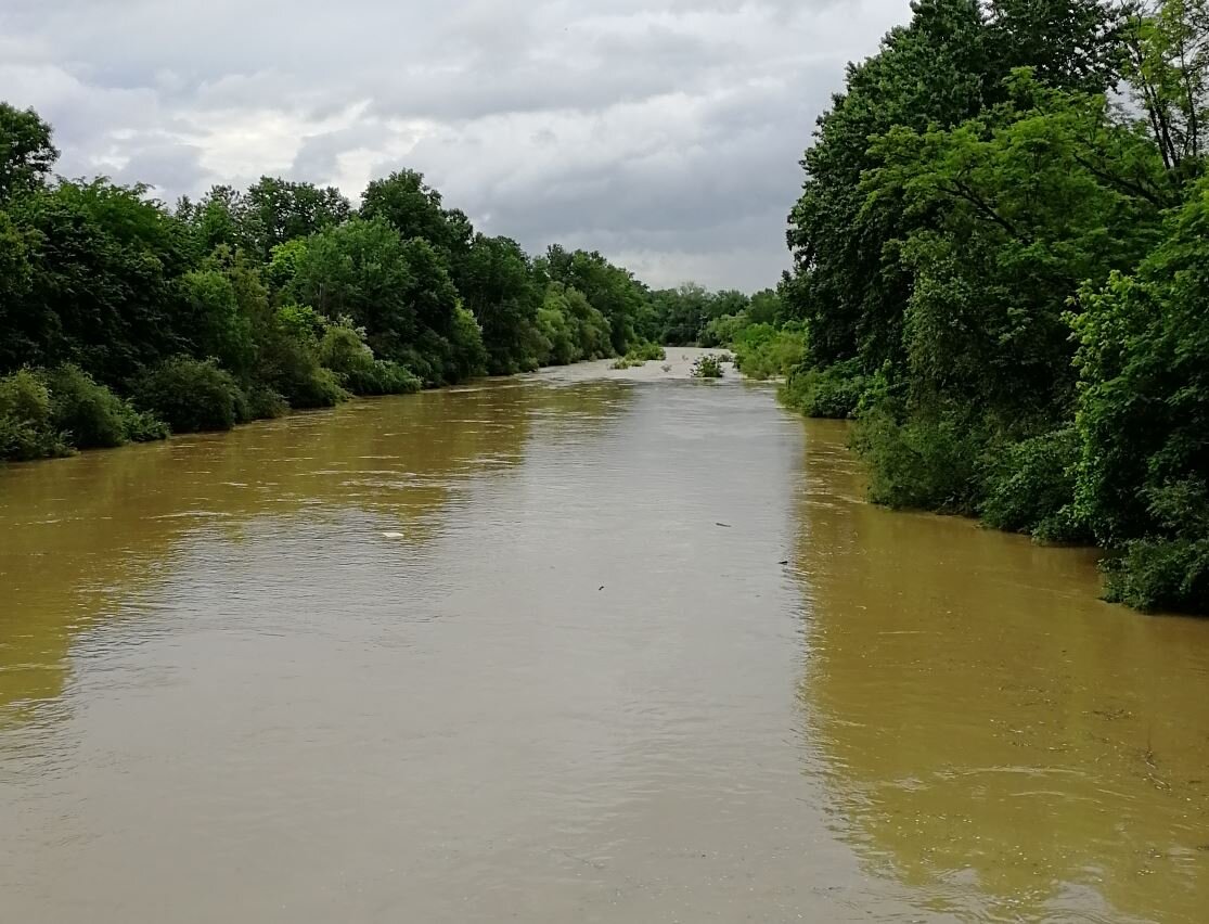 После дождей