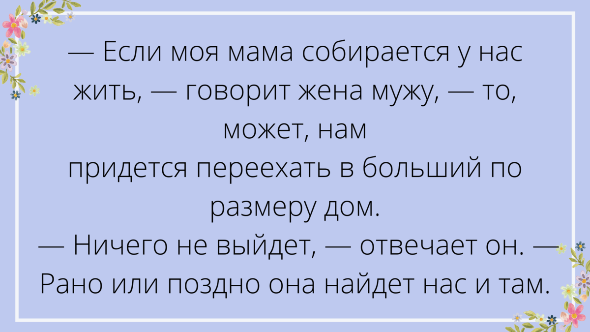 Порция дневных анекдотов | Сетевое мышление | Дзен