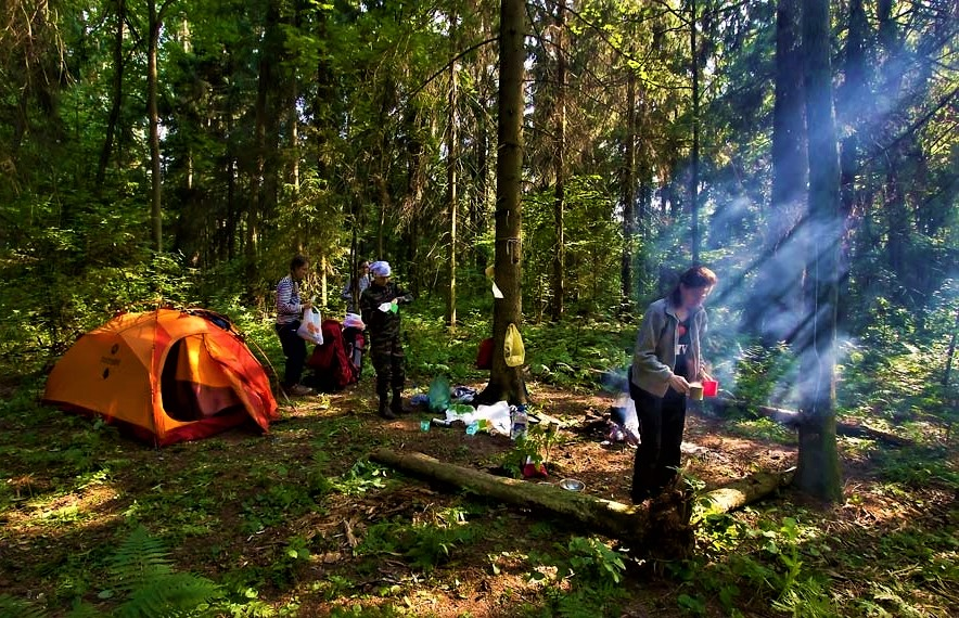 Фото отдыха в лесу