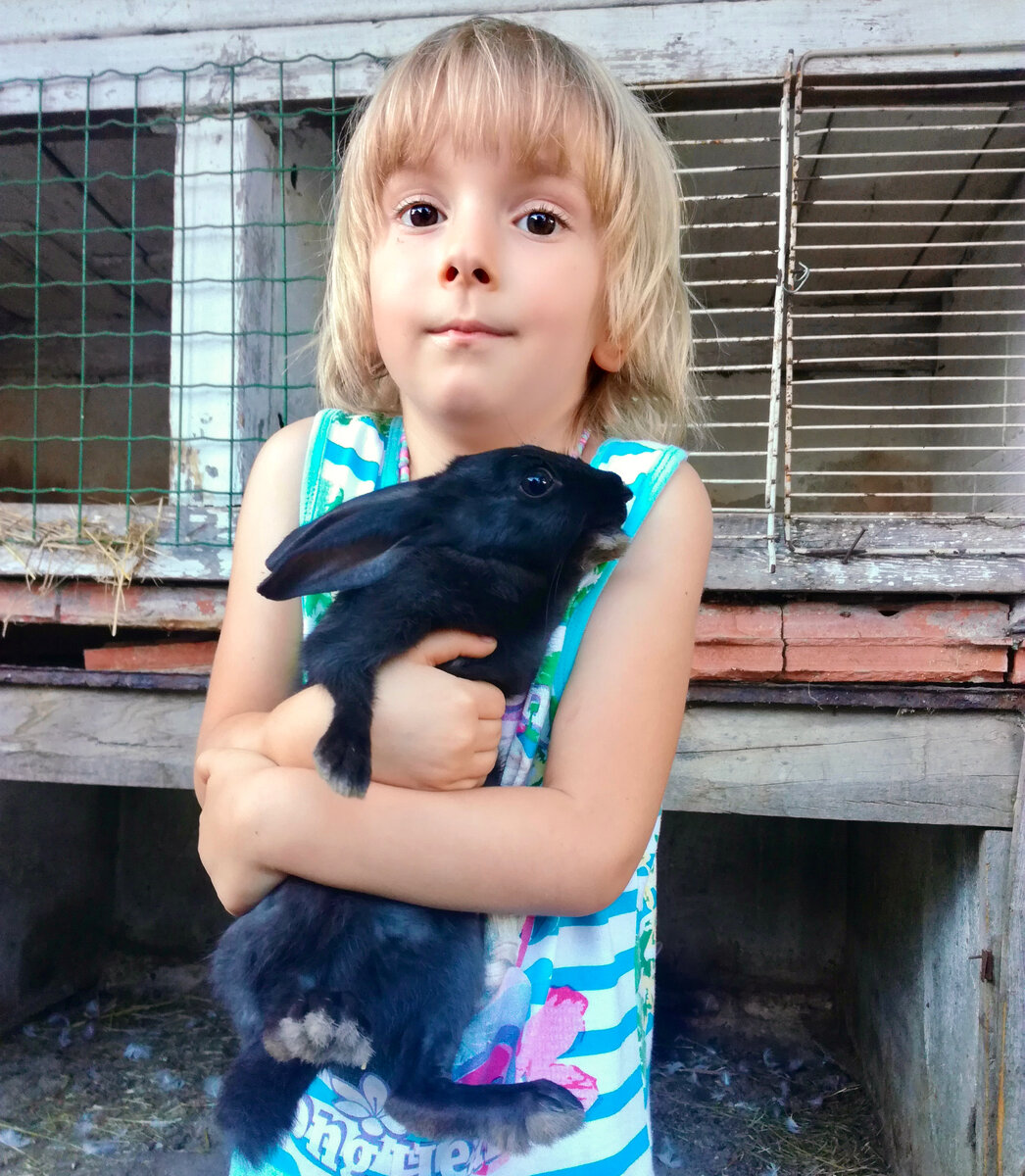 Дикий европейский кролик на руках у домашнего ребенка))