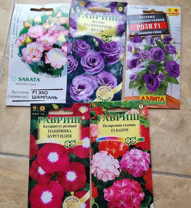 Семена цветов, которые купила для посева в ноябре