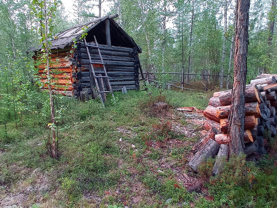 Таежное зимовье. Фото Бориса  Слепнева