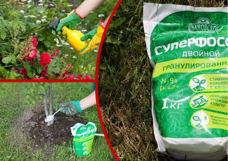 Применение суперфосфата.