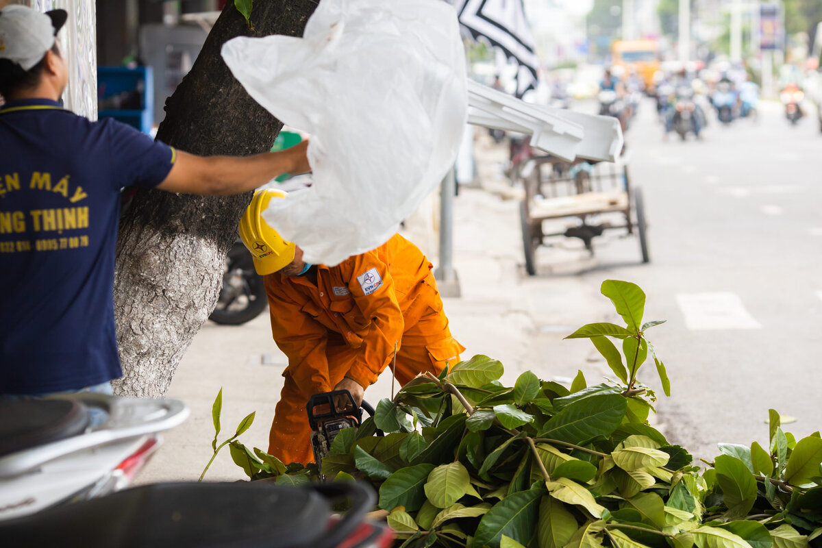 Вьетнамец обрезает ветки, второй выкидывает пакет на эту же ветку. Итог: пакет намотал на цепь пилы