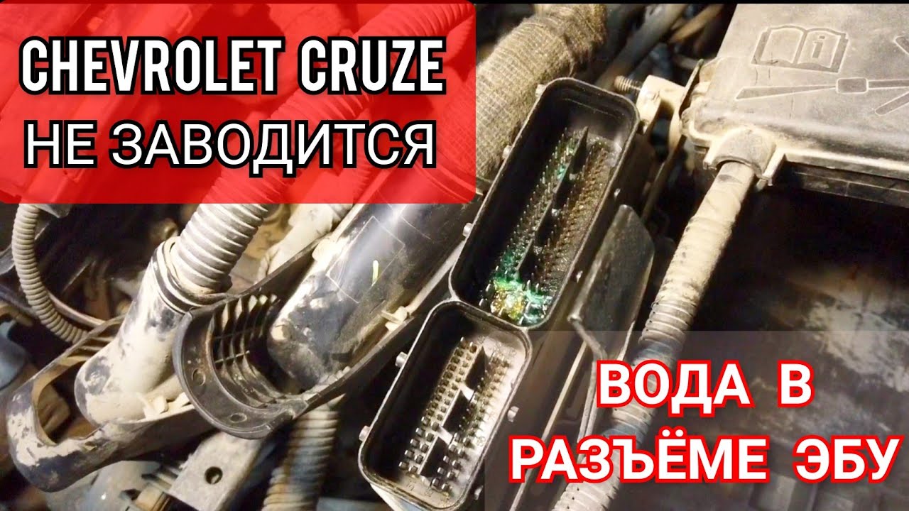 Не заводится Chevrolet Cruze. Сканер не видит блок управления двигателем. В  разъём ЭБУ попала вода.