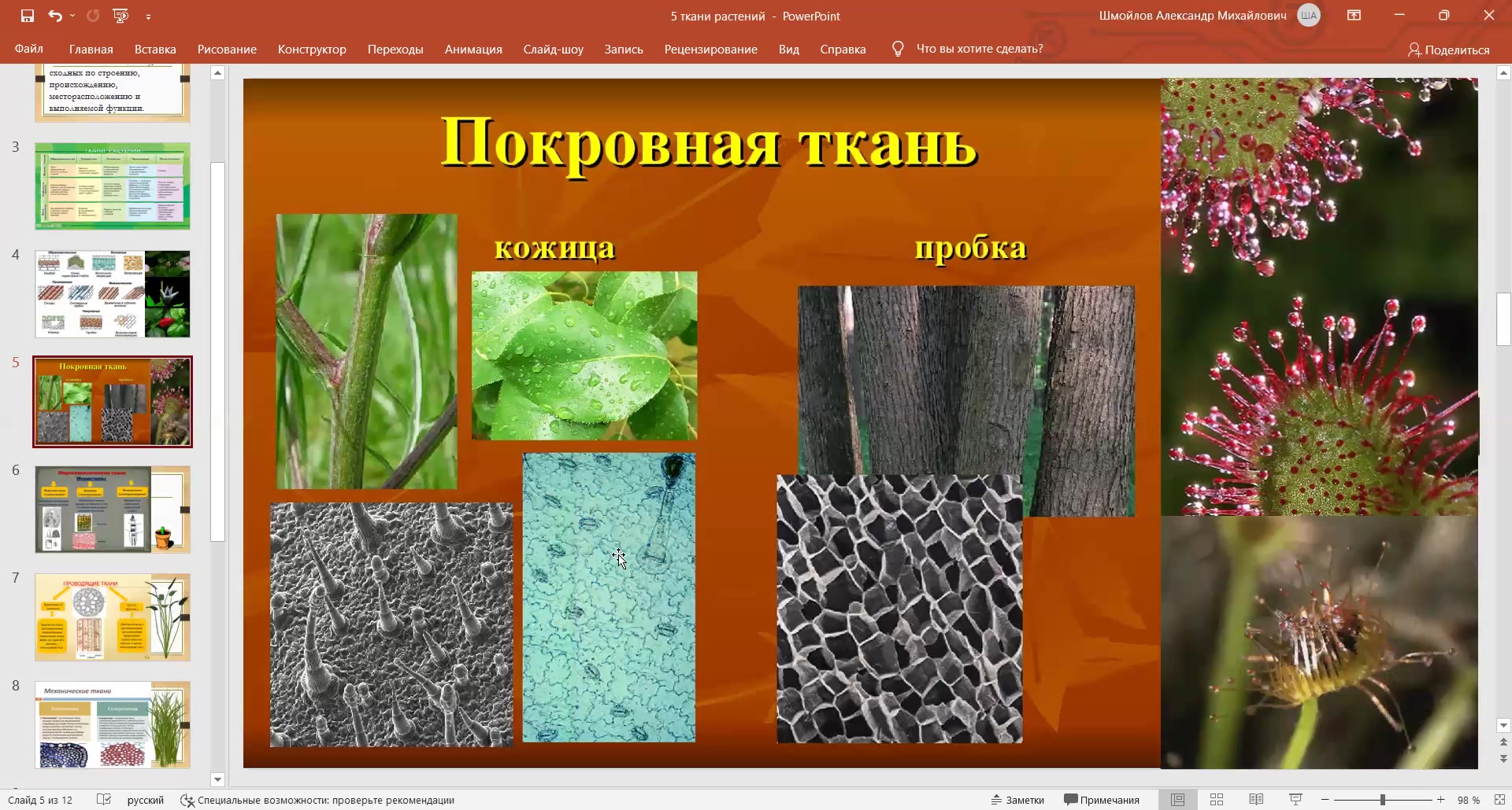 Изображение тканей и типы тканей растений. Ткани растений. покровная ткань растений. выделительная ткань растений. покровная ткань растений рисунок.