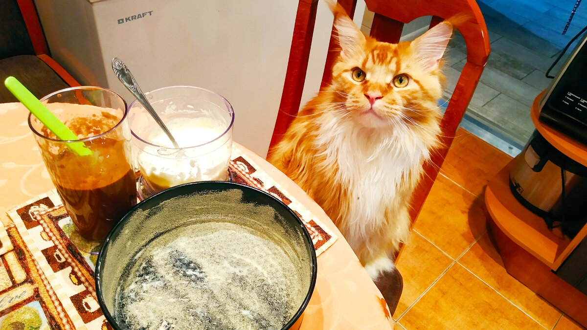 Мейн кун Степа: - Мамочка, что это ты надумала стряпать? 