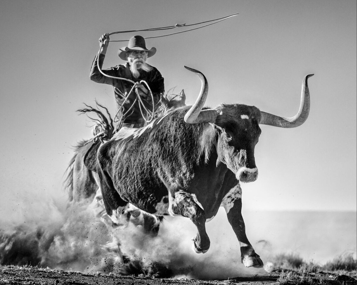 David Yarrow 