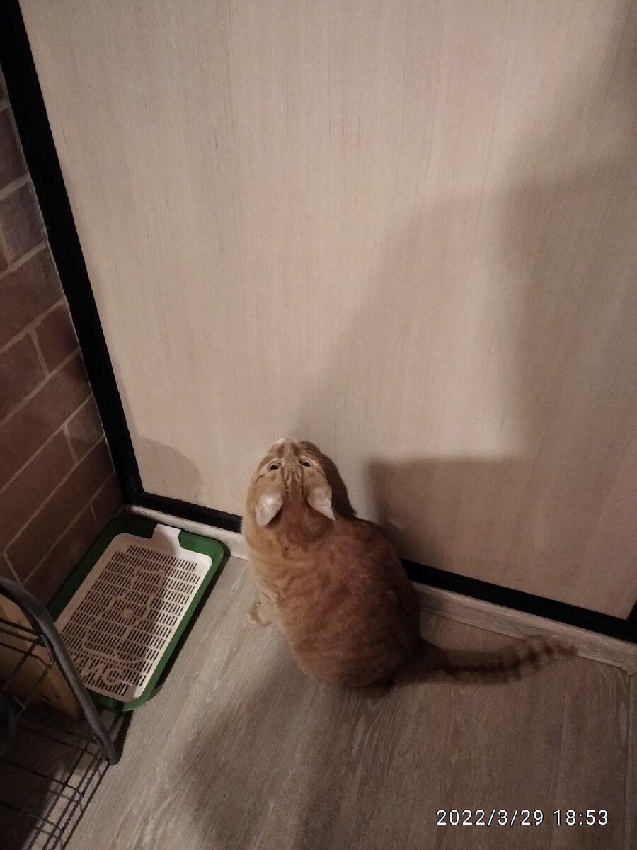 Федя на посту...