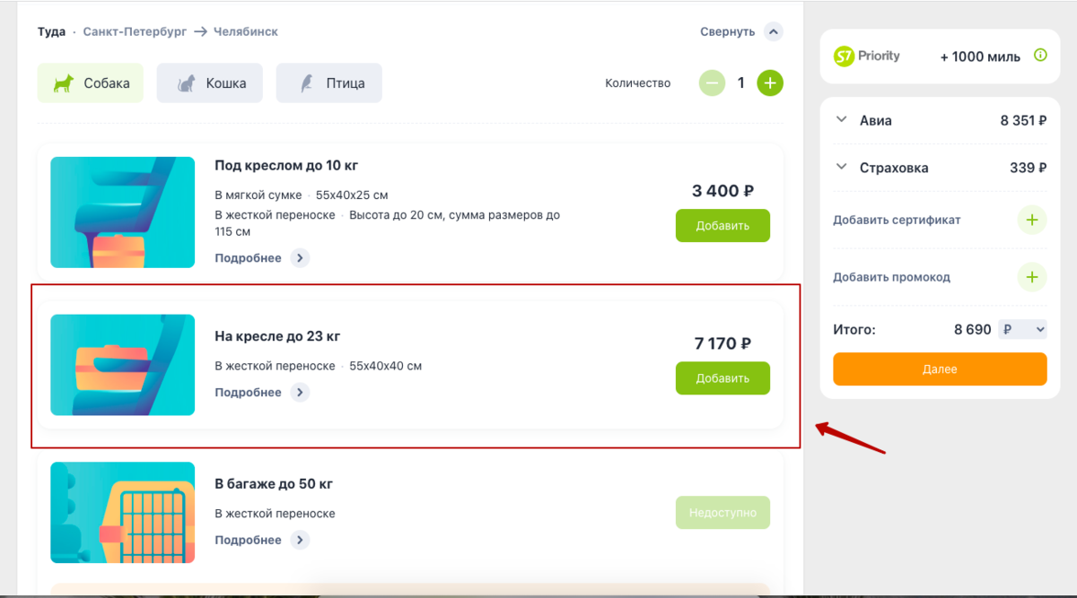 Выберите, где именно полетит питомец.