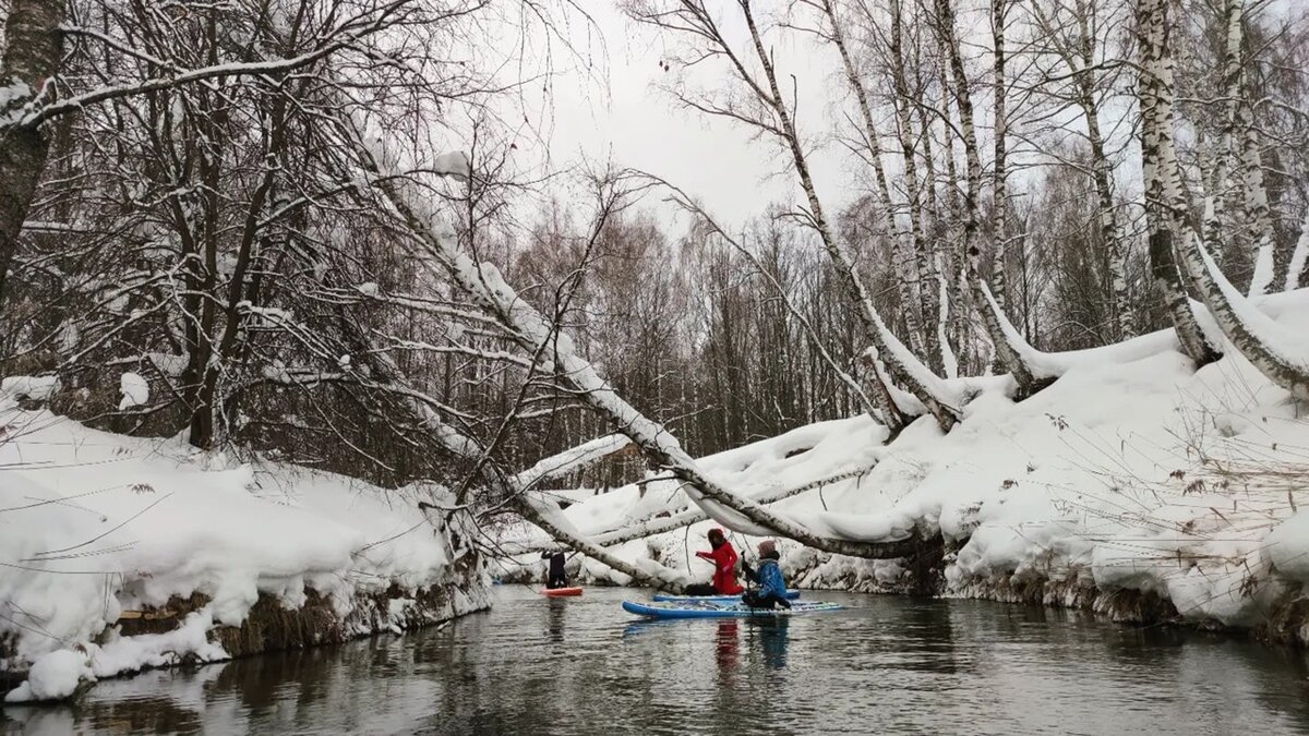 Здесь и далее фото Ольга Лирон