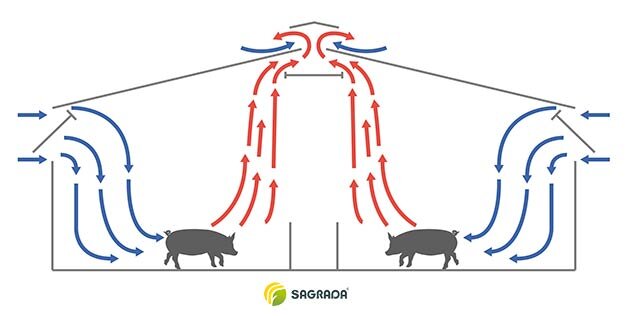 Вентиляционная система в свинарнике своими руками: пошаговая инструкция