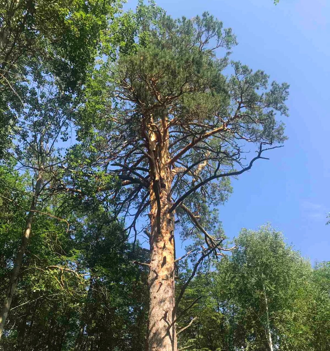 Красиво же!