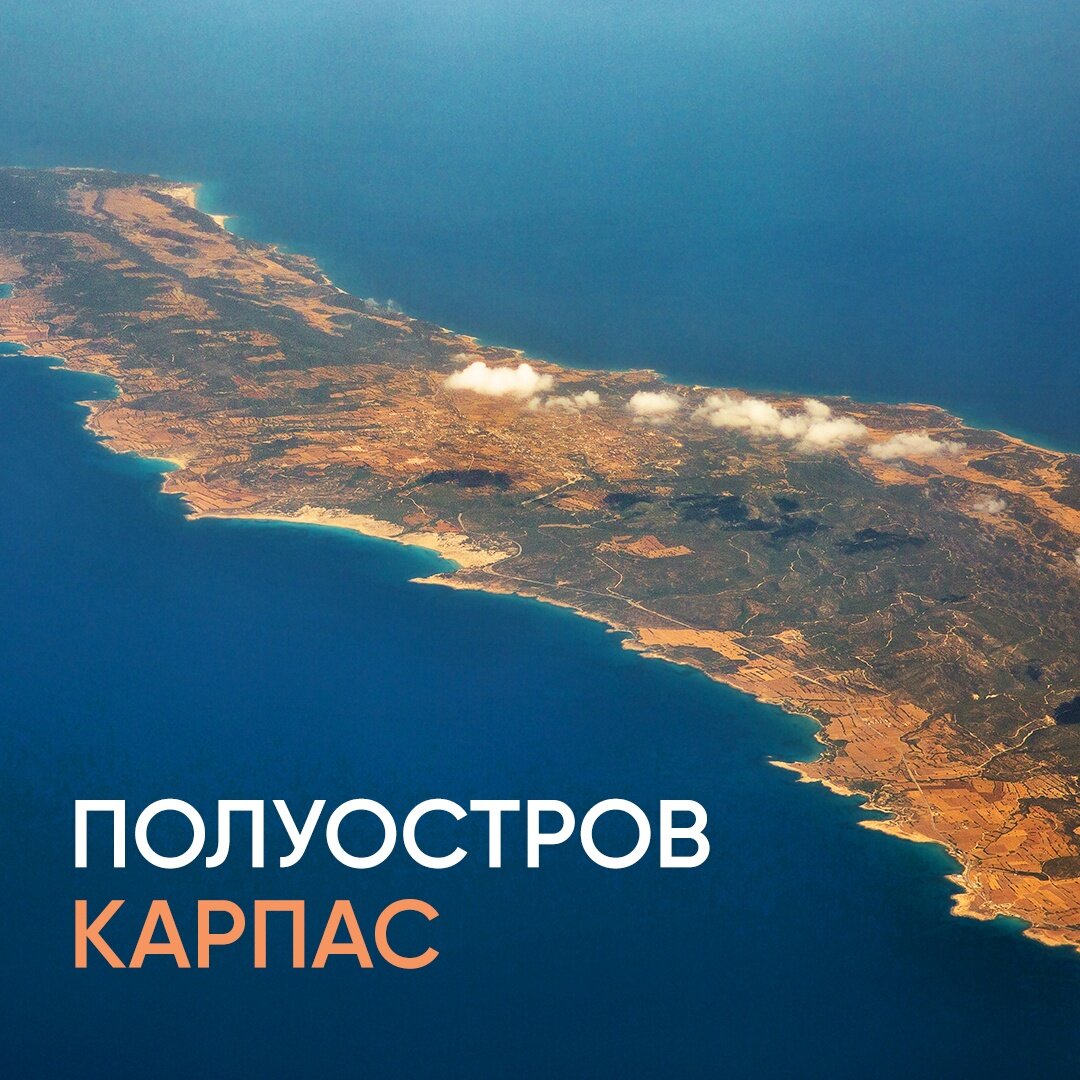 карпас северный кипр
