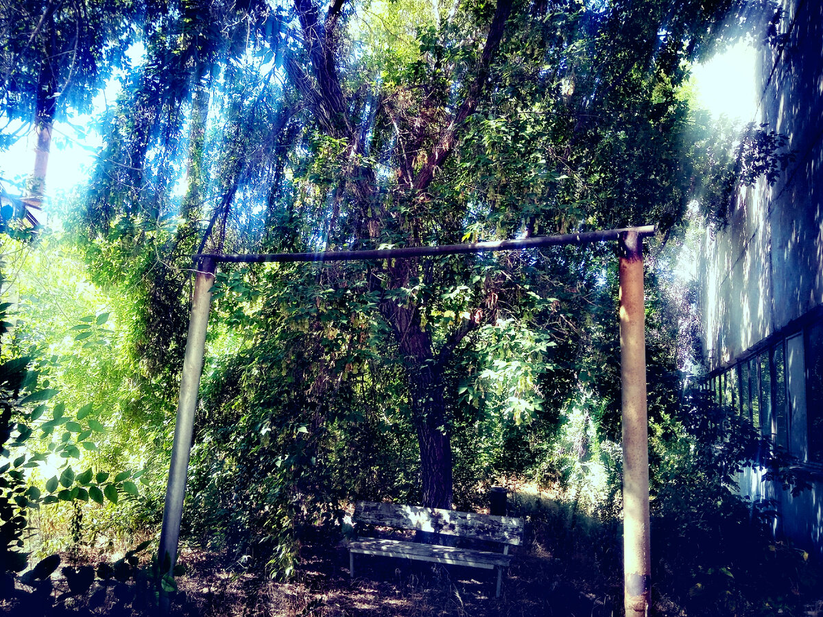 Самодельный турник. 