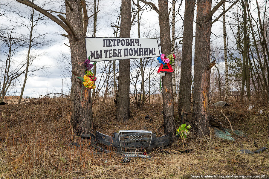 фото https://s00.yaplakal.com/