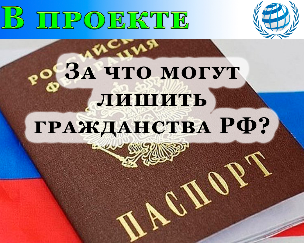 Проект федерального закона n 49269 8 о гражданстве российской федерации