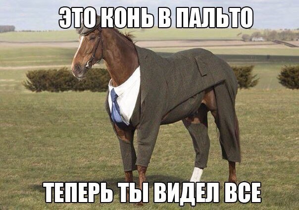 конь в пальто