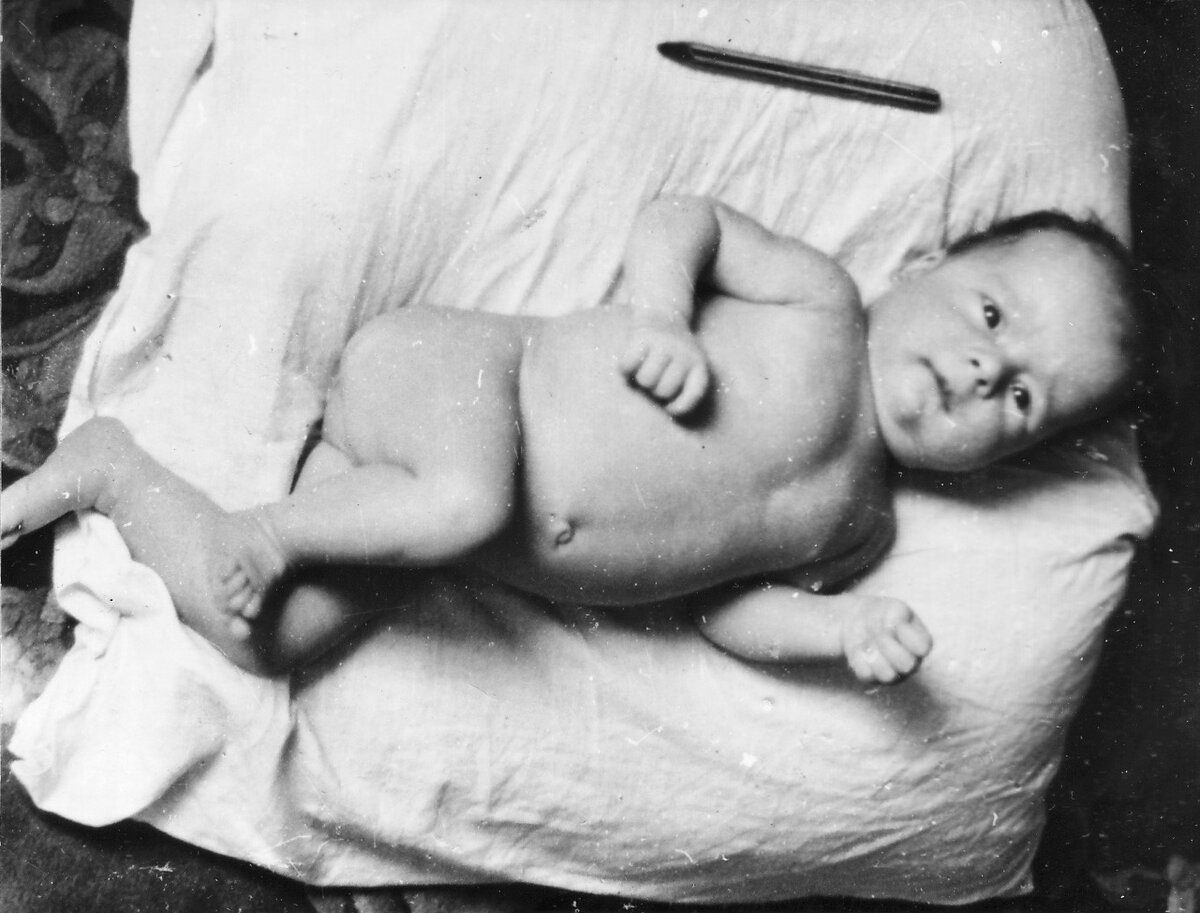 Вот это я в год вылупления. 