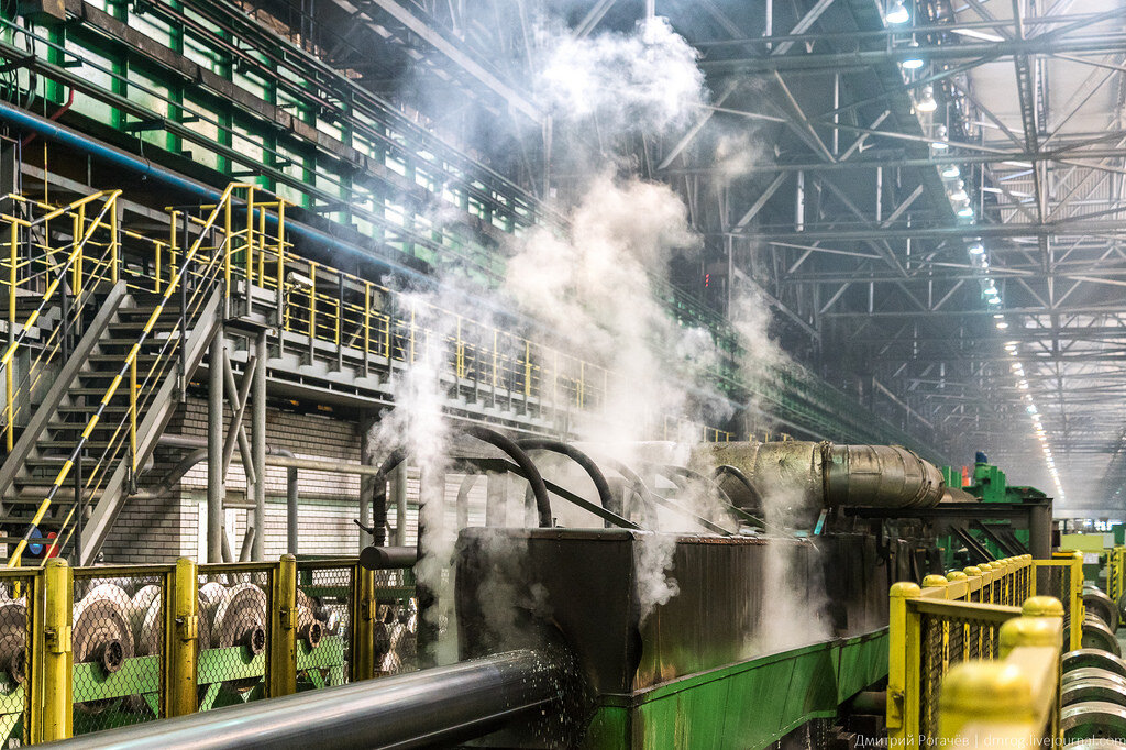 Фото Дмитрия Рогачева 