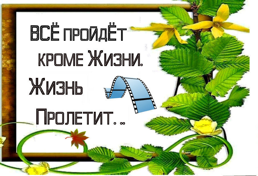 все пройдет кроме жизни жизнь пролетит. а время уходит. путь цитаты и афоризмы. лучше уйти цитаты. на сколько я прошел жизнь.
