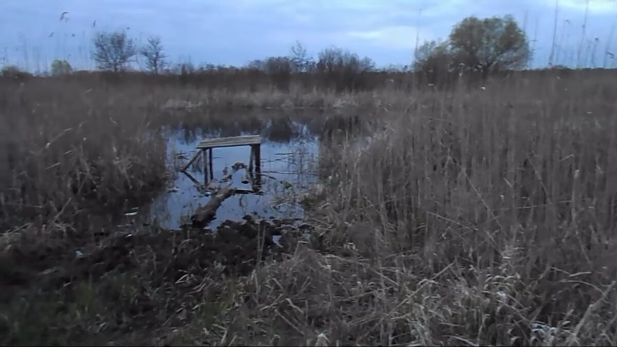 фото здесь карася нет весною