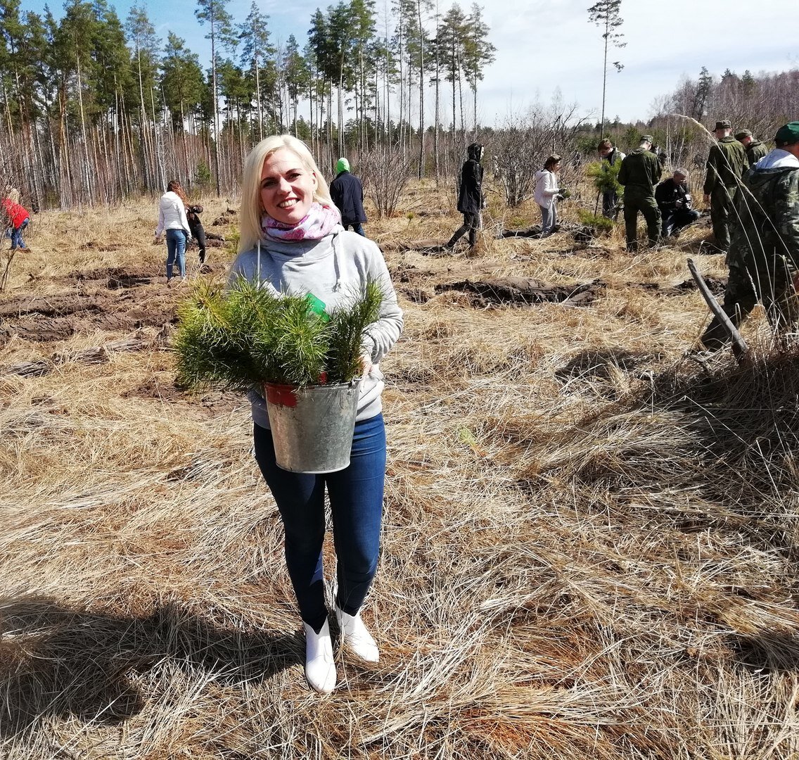 Новости хвойная. Новости хвойная. Акция сохраним лес. Новости хвойная. Новости хвойная.