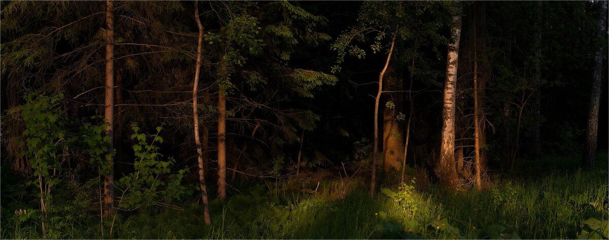 Фото Закира Умарова