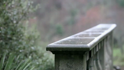 -3