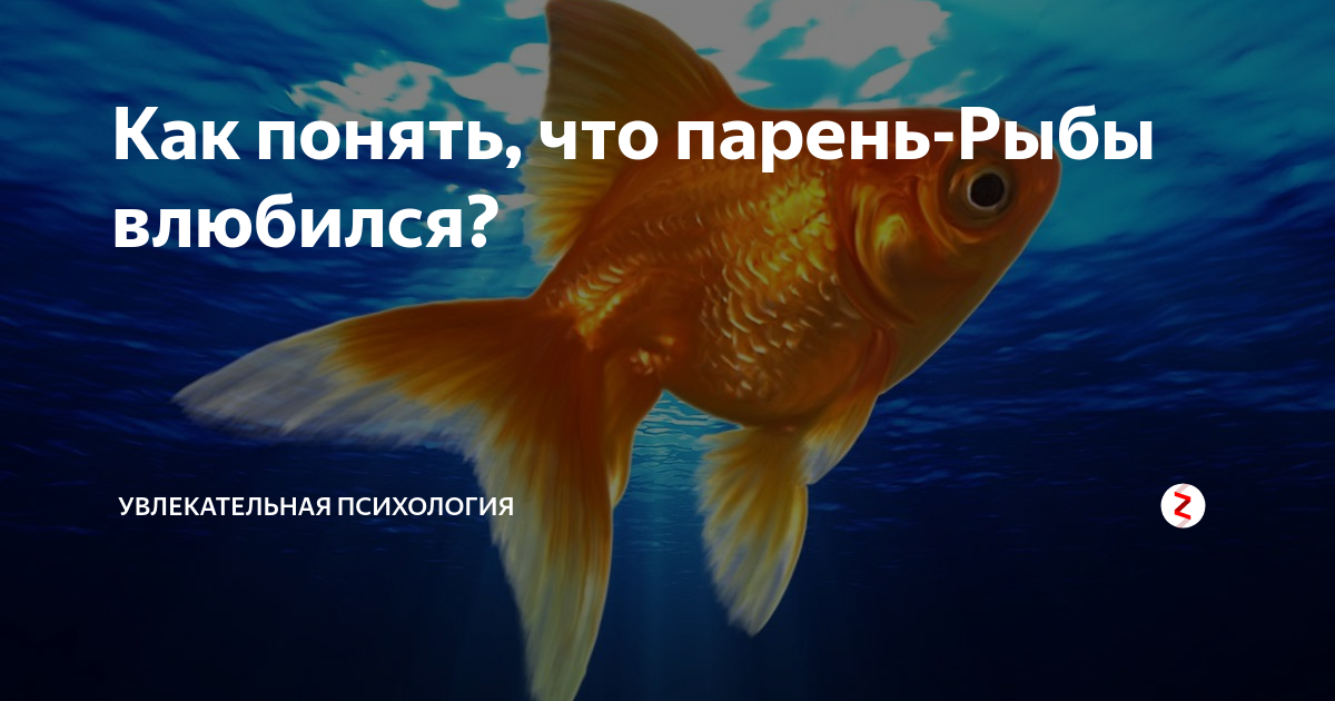 как понять что рыбы влюблены. рыба психология. мужчина рыбы как понять что влюбился. мужчина рыбы как понять что влюбился. рыбы мужчина характеристика.