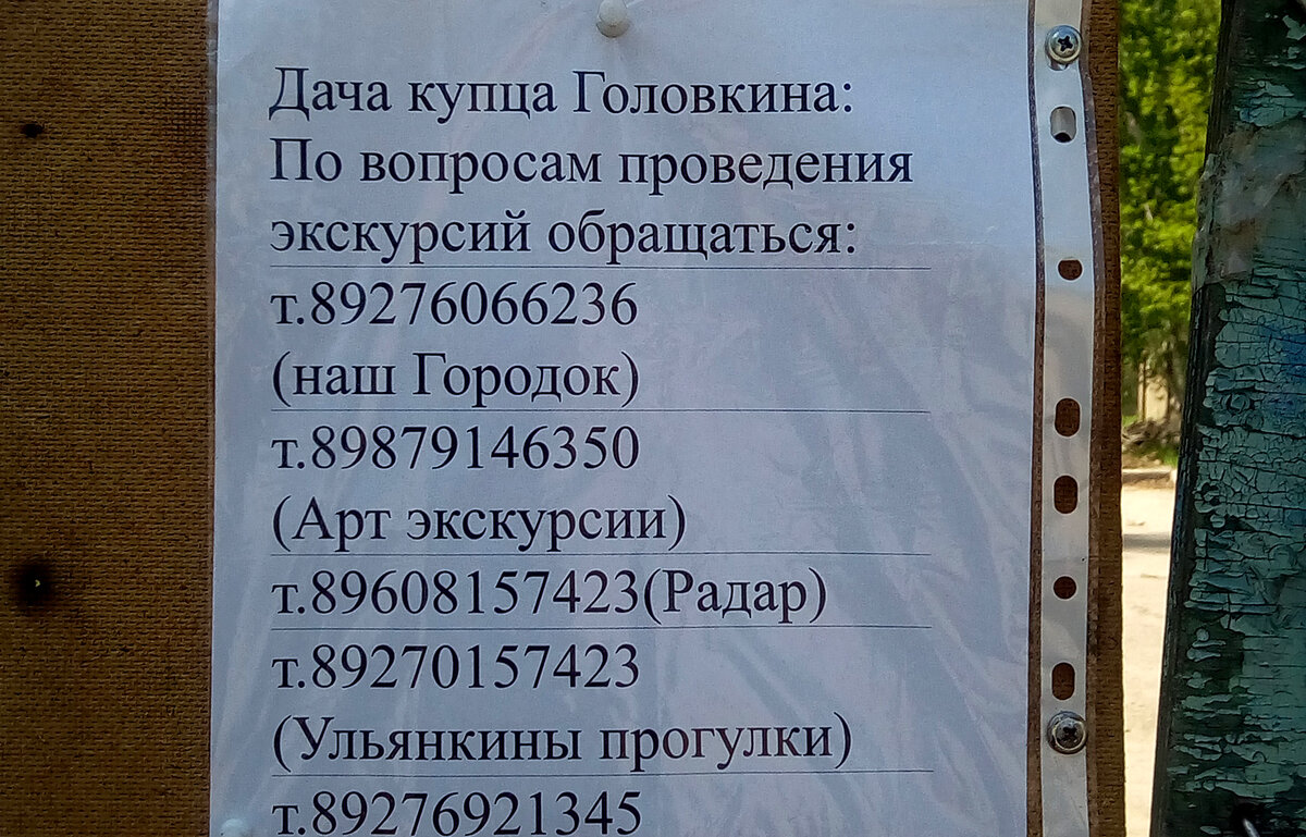 Родина слонов, Гагарин и подземный холодильник: топ-8 мест в Самаре |  рыж.конопат | Дзен