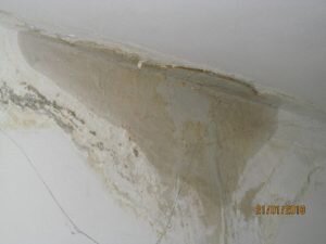 Возникает логичный вопрос: понес ли  виновный наказание? Похоже, что понес, только в виде поощрения,  ведь  эта чиновница пошла на повышение, и сегодня возглавляет городское управление коммунального хозяйства и имущества.