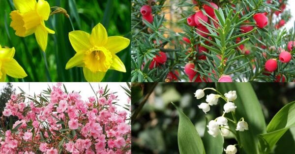 фото: homehacks.co