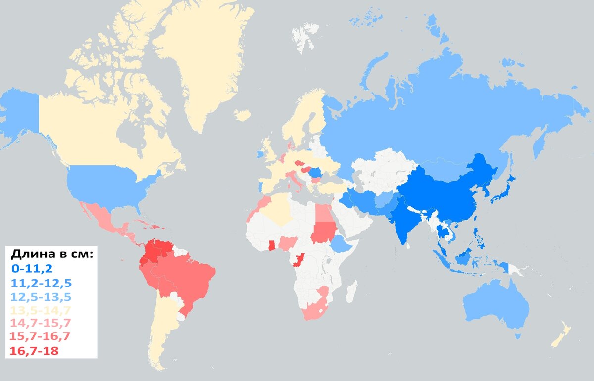 размеры члена среднего мужчины в россии фото 39