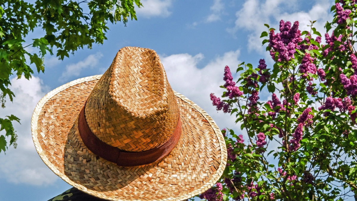 источник фото https://clck.ru/Dyi4m