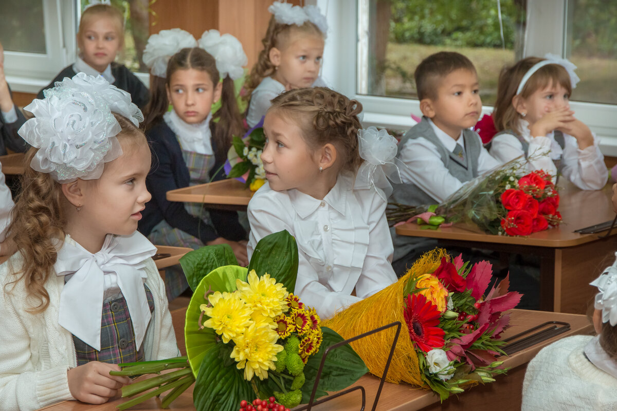 Первоклассники на линейке. Школа первый класс. Школьники первый класс. Первое сентября.