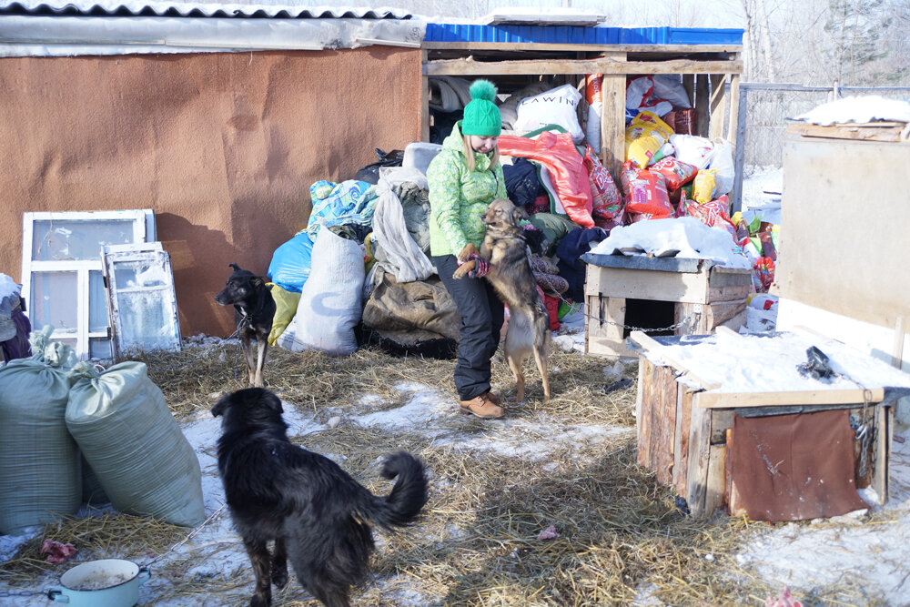Бийск приют для животных преданность. Общество защиты животных бийск. Щенки в приюте. Приют в бийске. Преданность бийск.