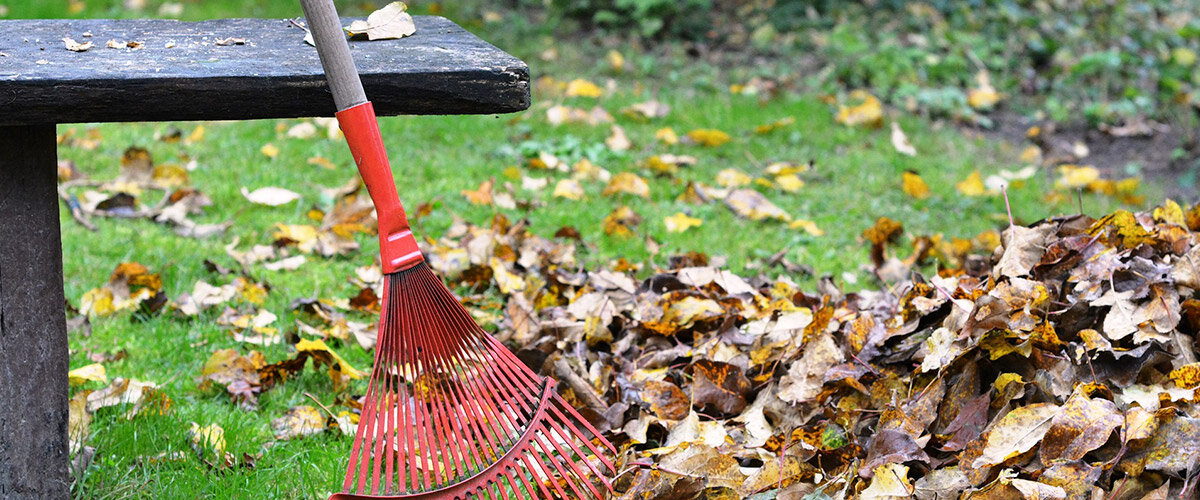 (с) Фото из открытых интернет-источников.