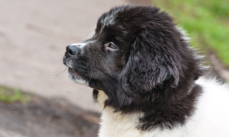 Лайк и подписка малышу! 😍 😏