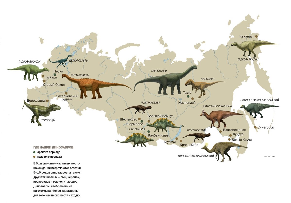 Динозавры в цифрах и масштабе | Paleonews | Дзен